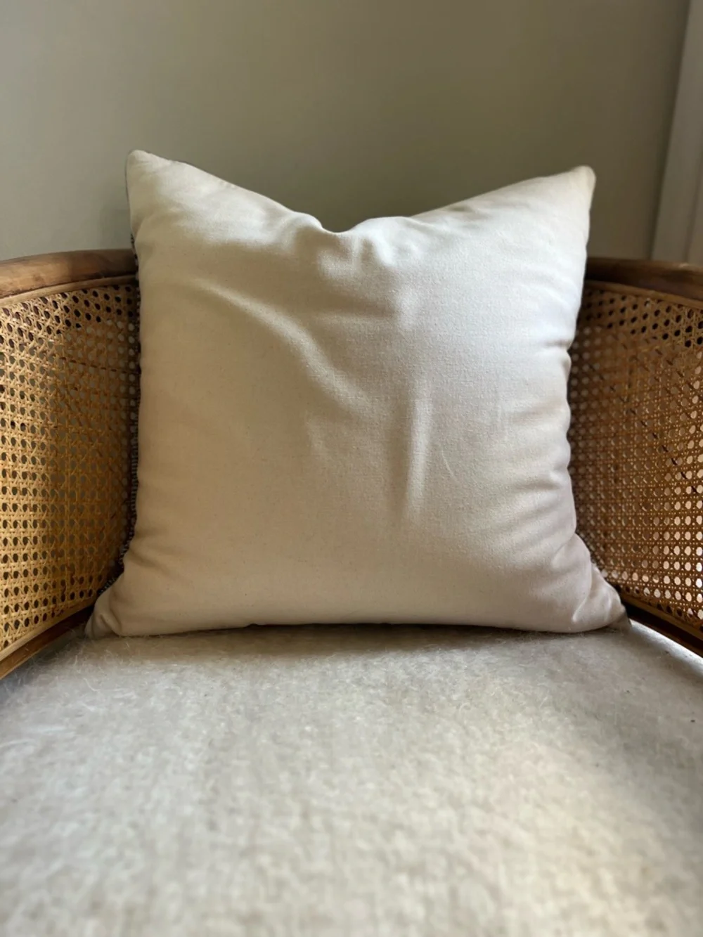 Crate & Barrel Etta silk wool throw pillow and insert